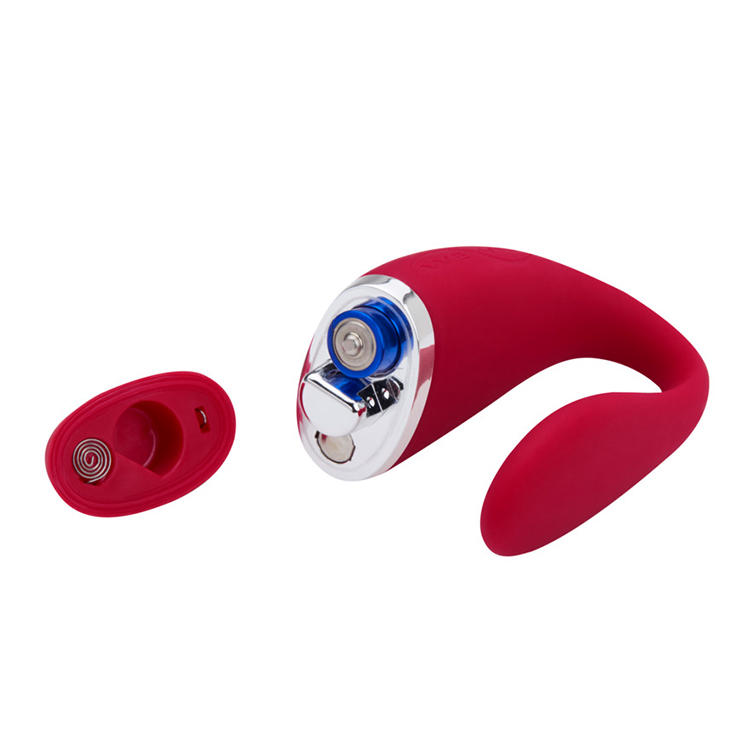 FS0046 03 couples vibrator