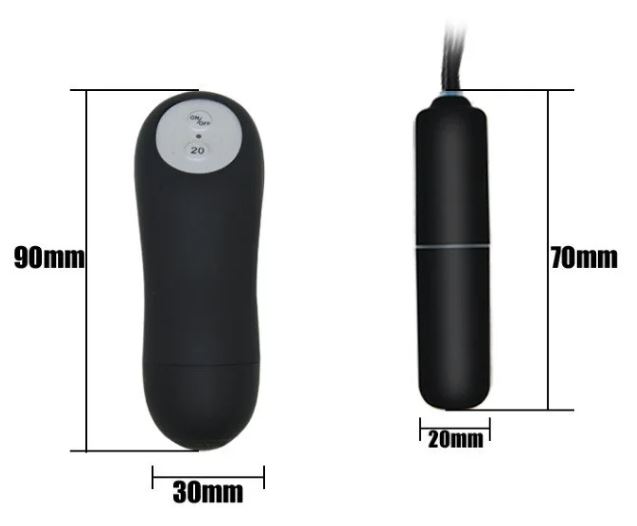 panty vibrator, vibrator