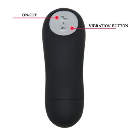 panty vibrator, vibrator